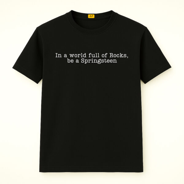 In A World Full Of Rocks Be A Springsteen Shirt, Anti Trump